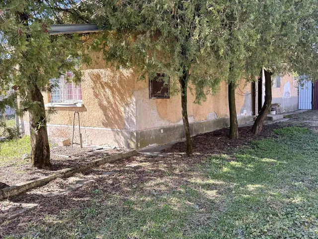 Eladó ház Bodrogkisfalud 60 nm