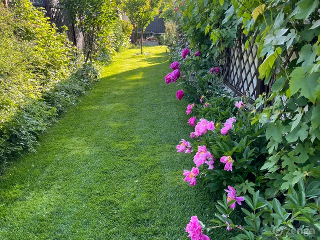 Eladó ház Délegyháza, Vadvirág utca 114 nm