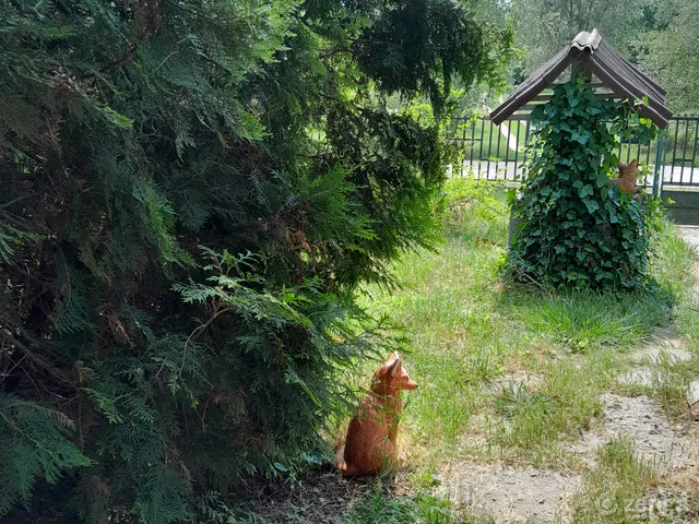 Eladó ház Tiszaszőlős 100 nm