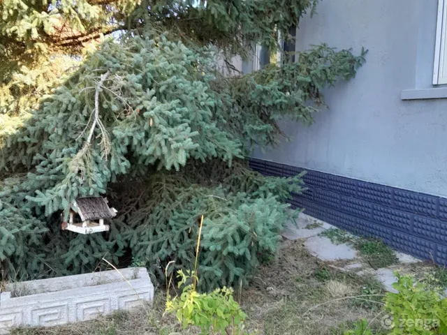 Eladó ház Tiszaszőlős 100 nm