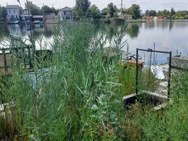 Eladó üdülő és hétvégi ház Szigetszentmiklós 20 nm