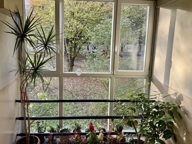 Eladó lakás Budapest XIV. kerület 52 nm