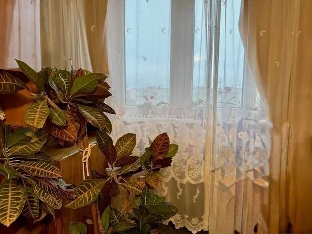 Eladó lakás Budapest III. kerület 48 nm