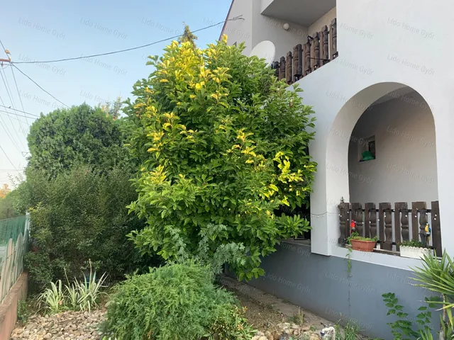 Eladó ház Levél 160 nm