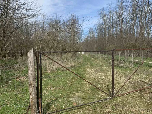 Eladó mezőgazdasági ingatlan Tényő 20000 nm