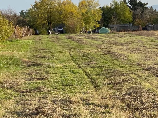 Eladó telek Győrasszonyfa 3278 nm