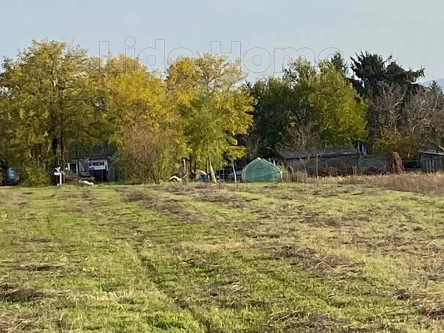 Eladó telek Győrasszonyfa 3278 nm