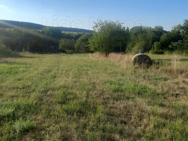 Eladó mezőgazdasági ingatlan Sármellék 4772 nm