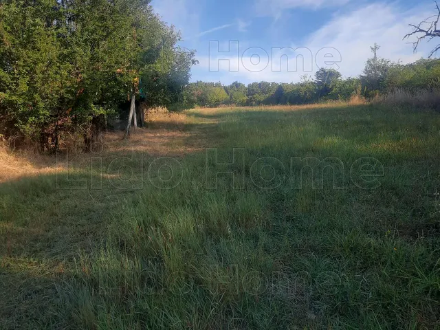 Eladó mezőgazdasági ingatlan Sármellék 7070 nm