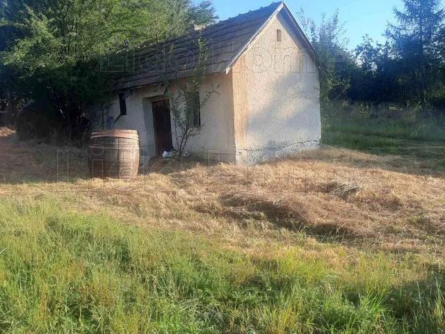 Eladó mezőgazdasági ingatlan Sármellék 7070 nm