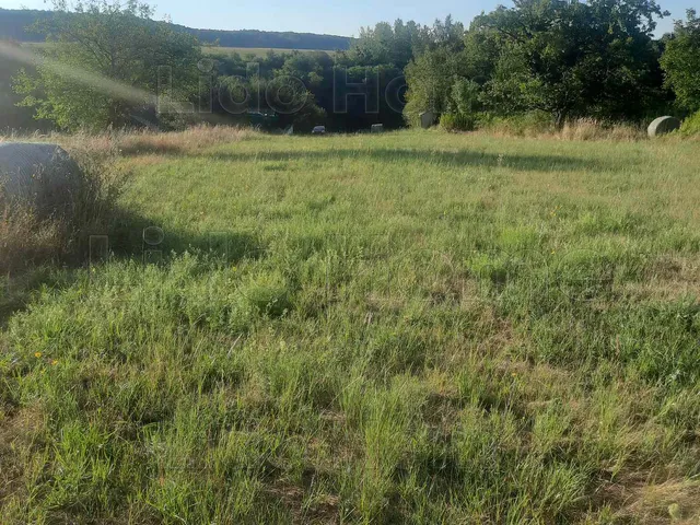 Eladó mezőgazdasági ingatlan Sármellék 3606 nm