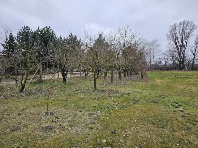 Eladó mezőgazdasági ingatlan Dunakiliti 6544 nm