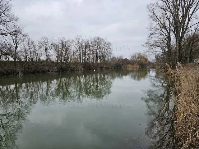 Eladó mezőgazdasági ingatlan Dunakiliti 6544 nm