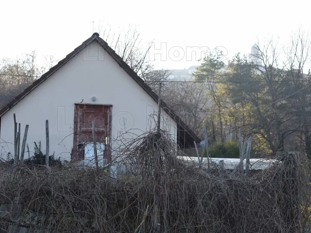Eladó telek Pannonhalma 2777 nm