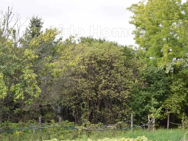 Eladó telek Táp 963 nm