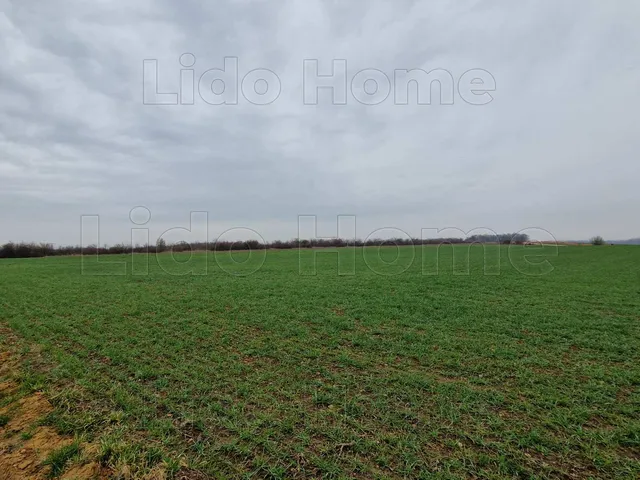 Eladó mezőgazdasági ingatlan Fertőszéplak 14375 nm