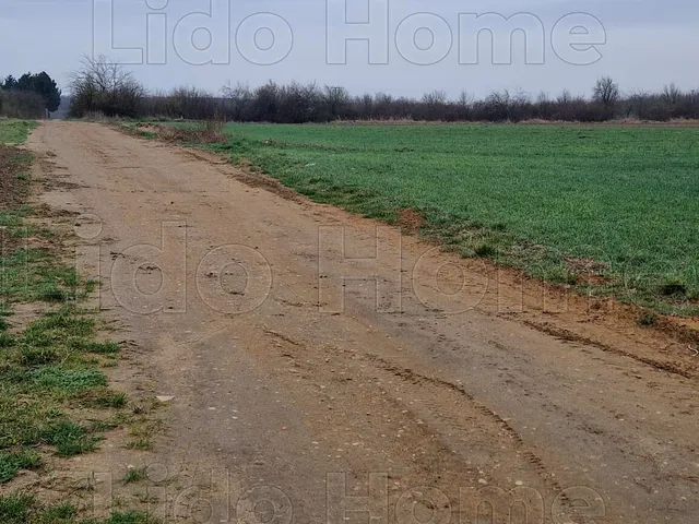 Eladó mezőgazdasági ingatlan Fertőszéplak 14375 nm
