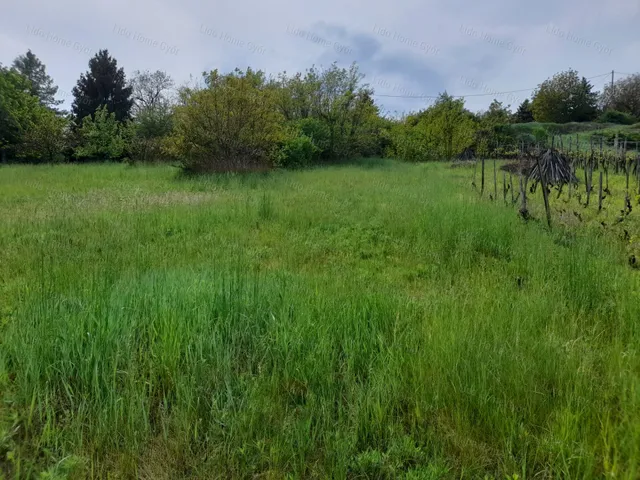Eladó telek Győrújbarát 1000 nm