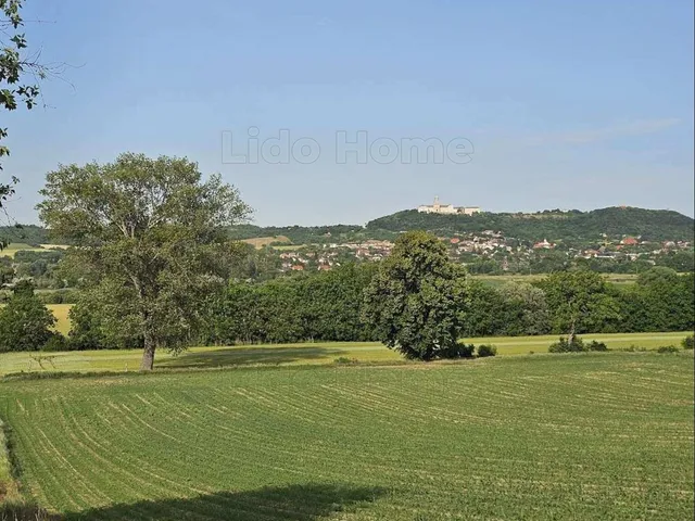 Eladó mezőgazdasági ingatlan Écs 3984 nm