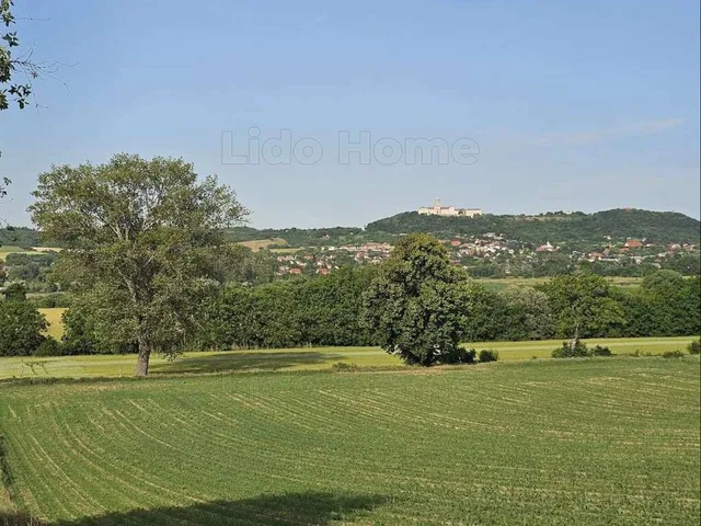 Eladó mezőgazdasági ingatlan Écs 2756 nm