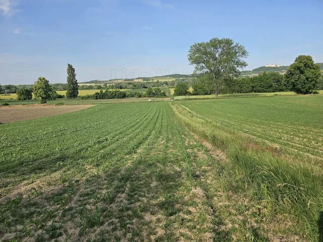 Eladó mezőgazdasági ingatlan Écs 2756 nm