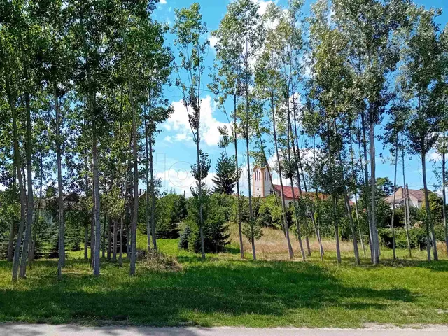 Eladó telek Tényő 1482 nm