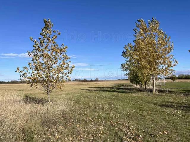 Eladó telek Mezőörs 1793 nm