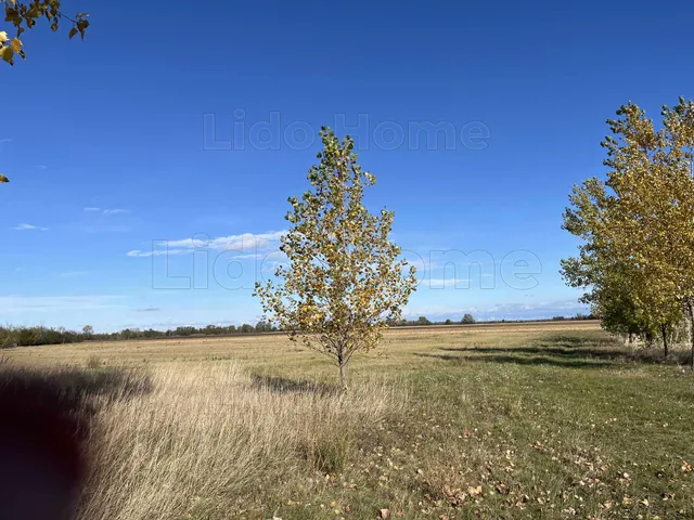 Eladó telek Mezőörs 1773 nm