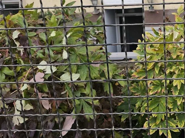 Eladó kereskedelmi és ipari ingatlan Győr, Belváros 80 nm