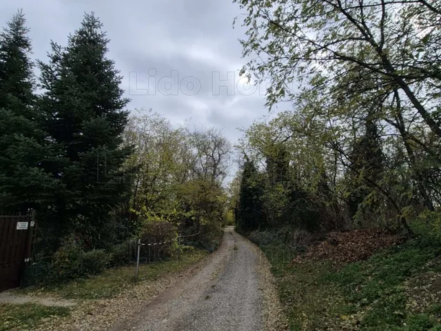 Eladó mezőgazdasági ingatlan Pázmándfalu 821 nm