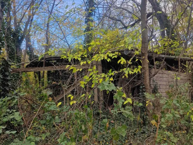 Eladó mezőgazdasági ingatlan Pázmándfalu 821 nm