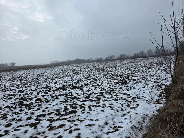 Eladó mezőgazdasági ingatlan Pereszteg 24516 nm