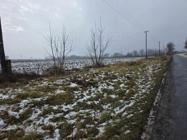 Eladó mezőgazdasági ingatlan Pereszteg 24516 nm