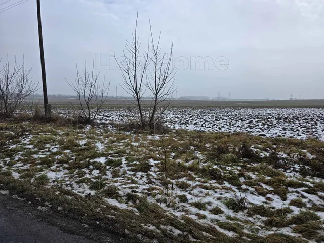 Eladó mezőgazdasági ingatlan Pereszteg 4860 nm