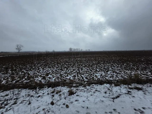 Eladó mezőgazdasági ingatlan Pereszteg 2022 nm