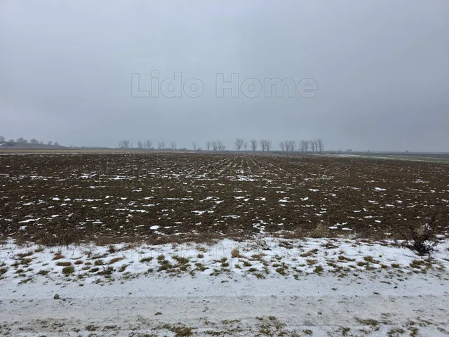 Eladó mezőgazdasági ingatlan Pereszteg 2022 nm