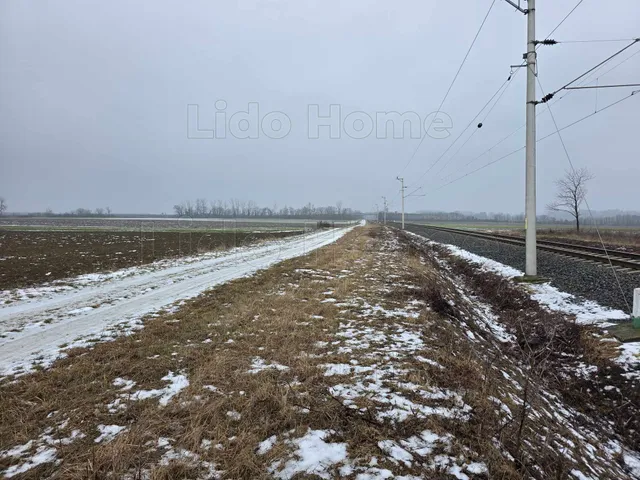 Eladó mezőgazdasági ingatlan Pereszteg 9798 nm