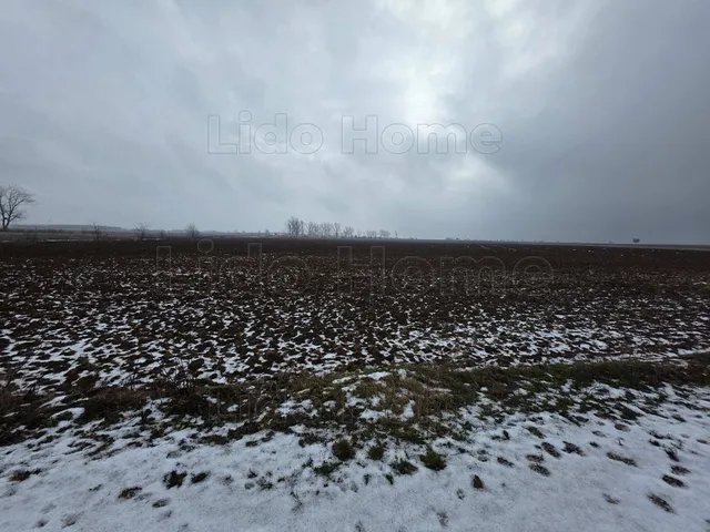 Eladó mezőgazdasági ingatlan Pereszteg 9798 nm