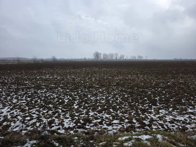 Eladó mezőgazdasági ingatlan Pereszteg 9798 nm