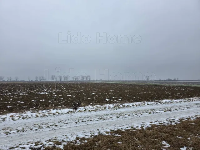 Eladó mezőgazdasági ingatlan Pereszteg 11811 nm