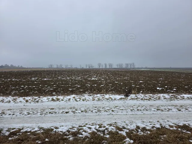 Eladó mezőgazdasági ingatlan Pereszteg 11811 nm