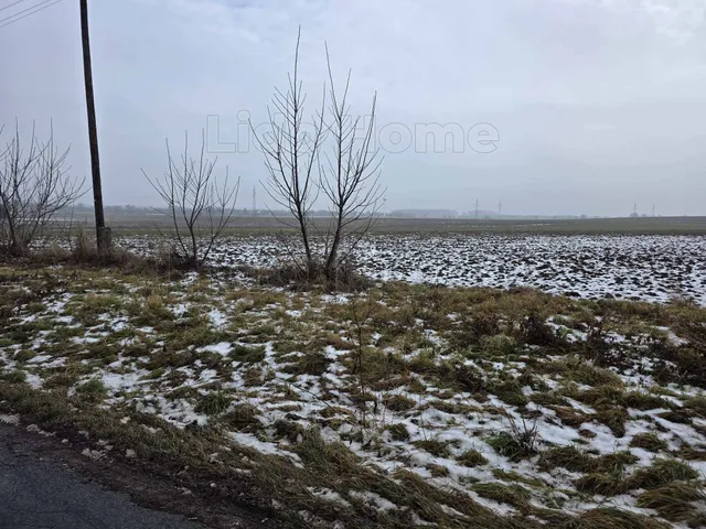 Eladó mezőgazdasági ingatlan Pereszteg 29376 nm