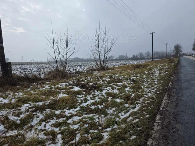 Eladó mezőgazdasági ingatlan Pereszteg 29376 nm