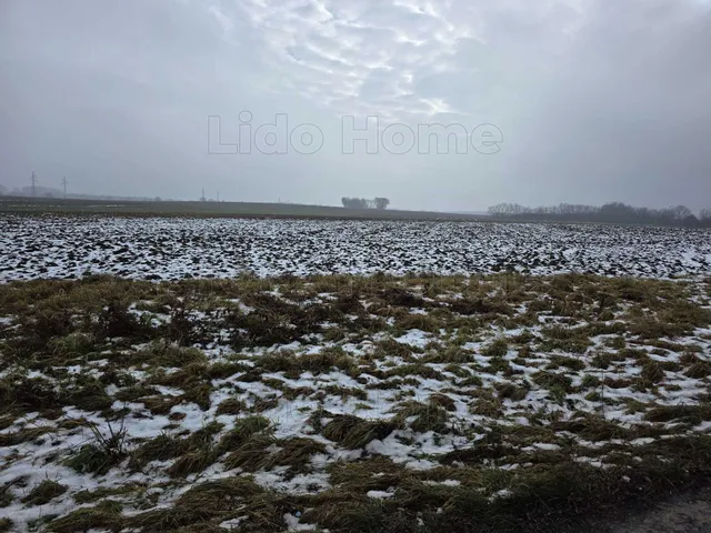 Eladó mezőgazdasági ingatlan Pereszteg 29376 nm