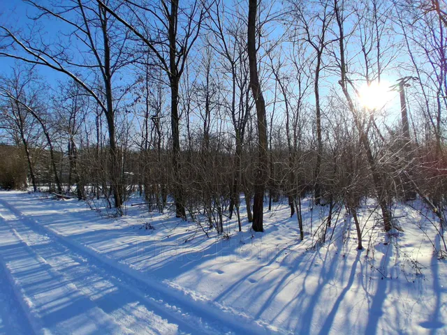 Eladó mezőgazdasági ingatlan Tényő 2892 nm