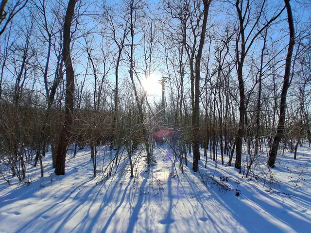 Eladó mezőgazdasági ingatlan Tényő 2892 nm