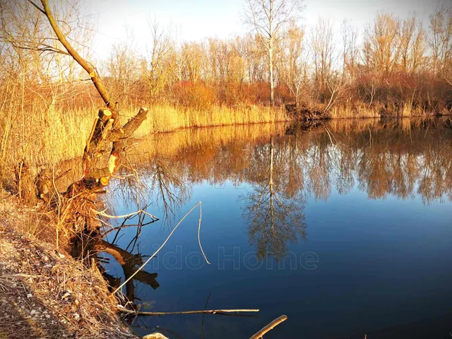 Eladó mezőgazdasági ingatlan Károlyháza 49106 nm