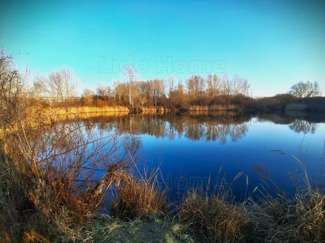 Eladó mezőgazdasági ingatlan Károlyháza 49106 nm