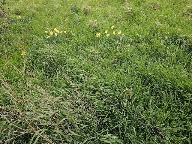 Eladó telek Győr, Kismegyer 1438 nm