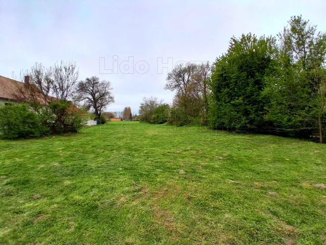 Eladó telek Gyarmat 6196 nm